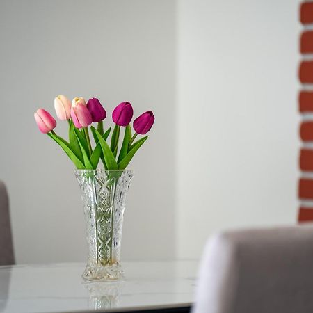 Apartment Gioia Rovinj Buitenkant foto