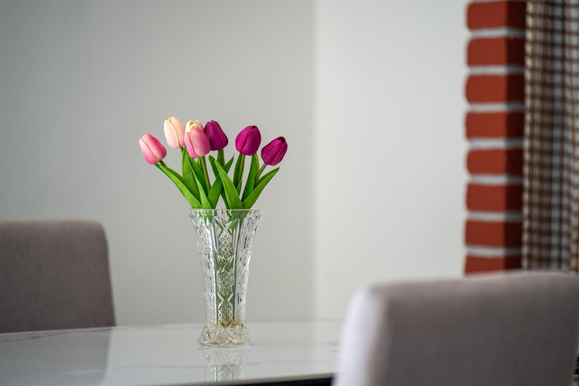 Apartment Gioia Rovinj Buitenkant foto